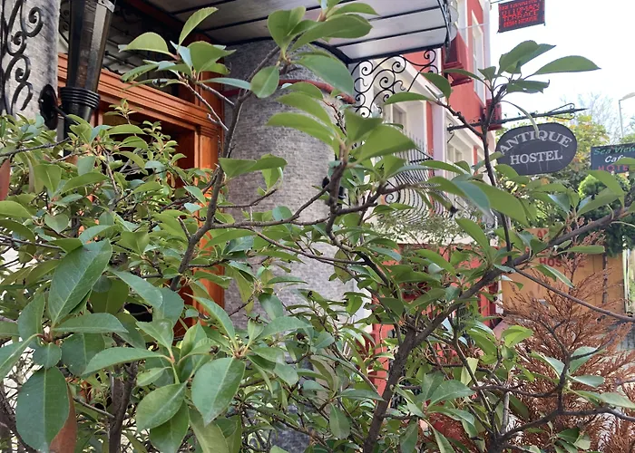 Antique Hostel Istambul